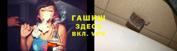 дмт Горно-Алтайск